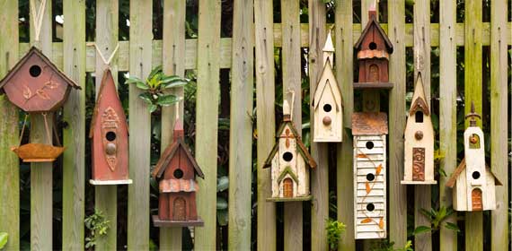 Birdhouses Collection